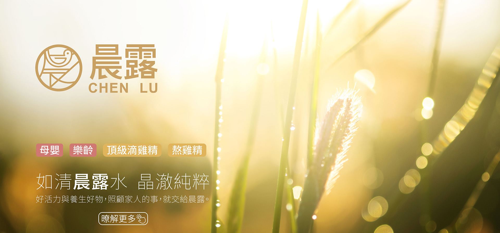 品牌分類_晨露品牌_A版.jpg