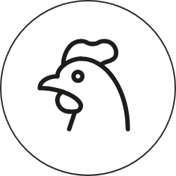 49aad393-1b8c-40fd-8248-5f6ed515c97f.png