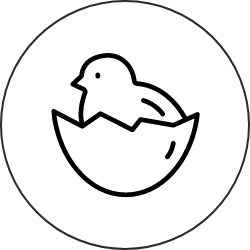 a894a8a8-fef3-4db5-a330-8b8a9905f157.png