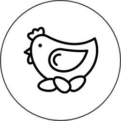 Group 252.png