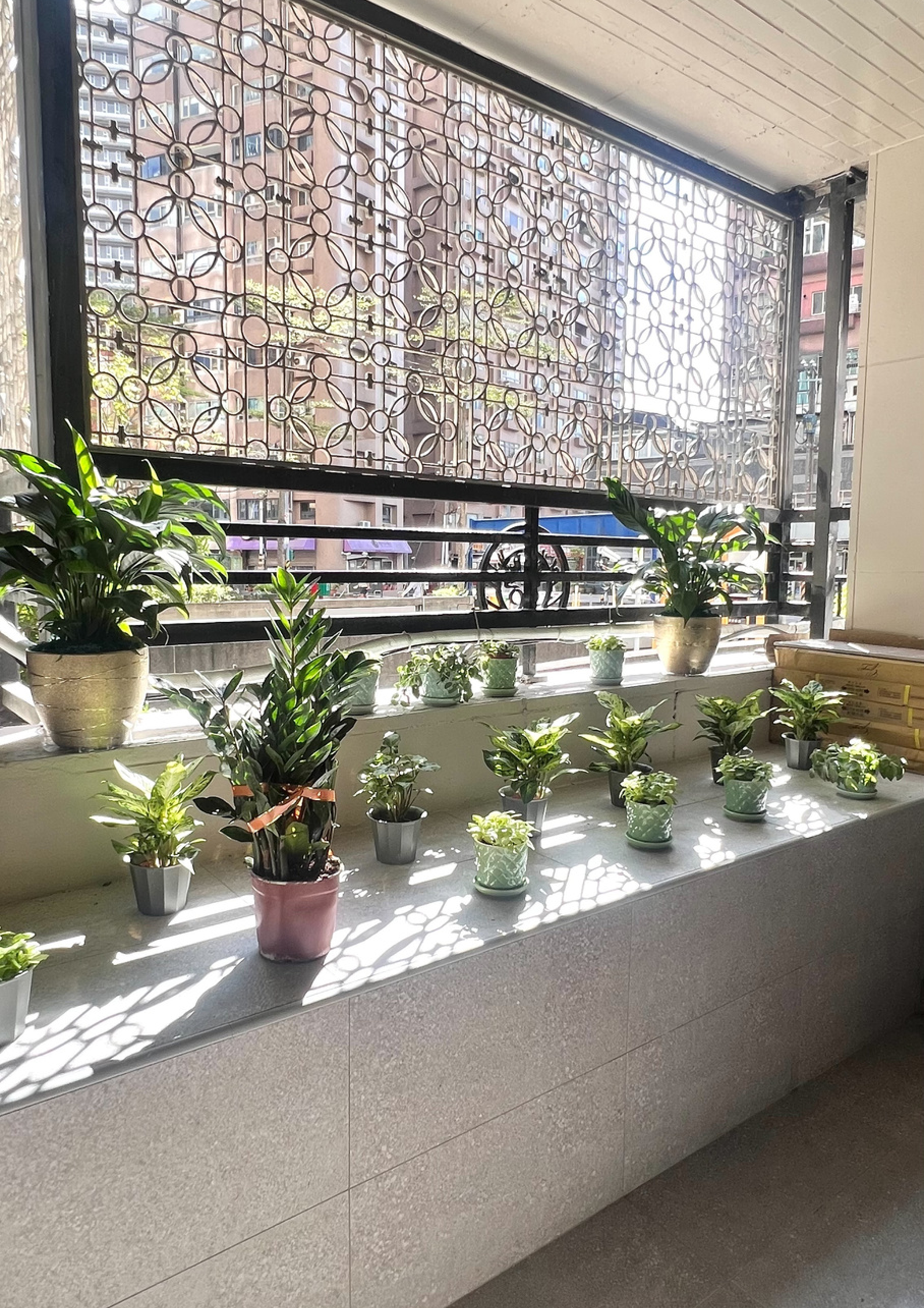 紓壓小花園.png