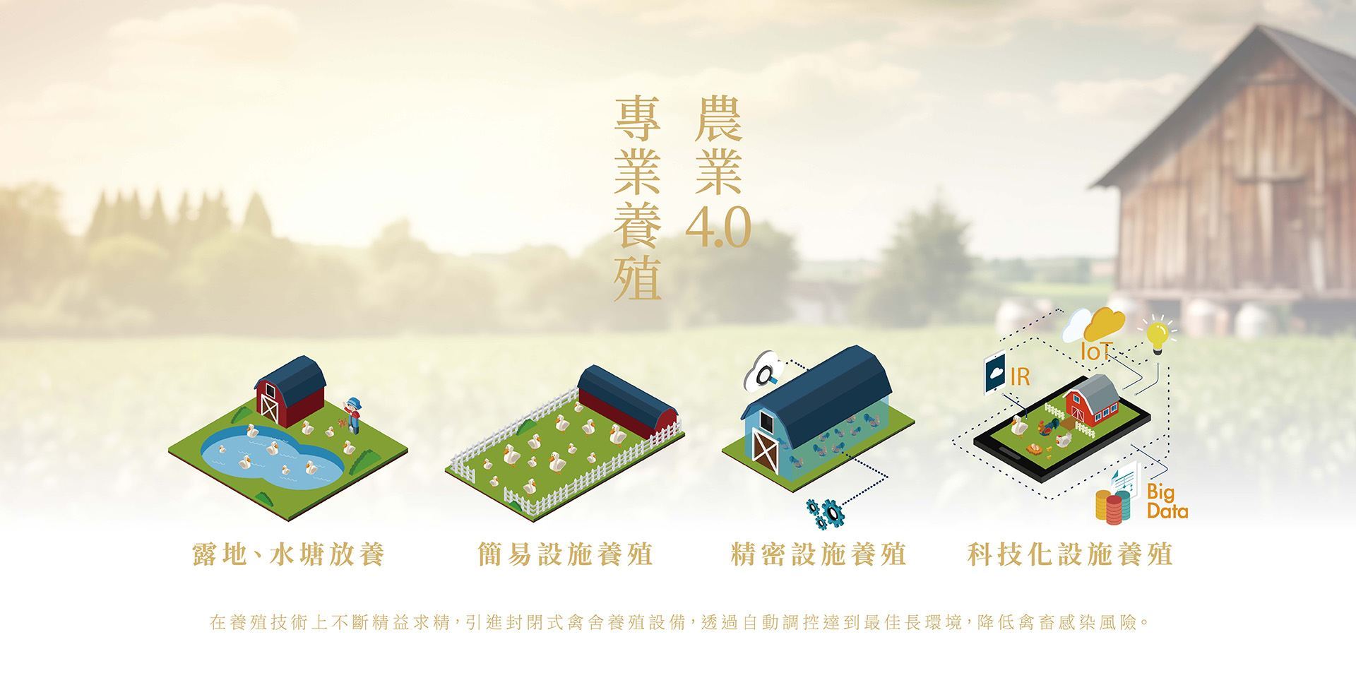 專業養殖.jpg